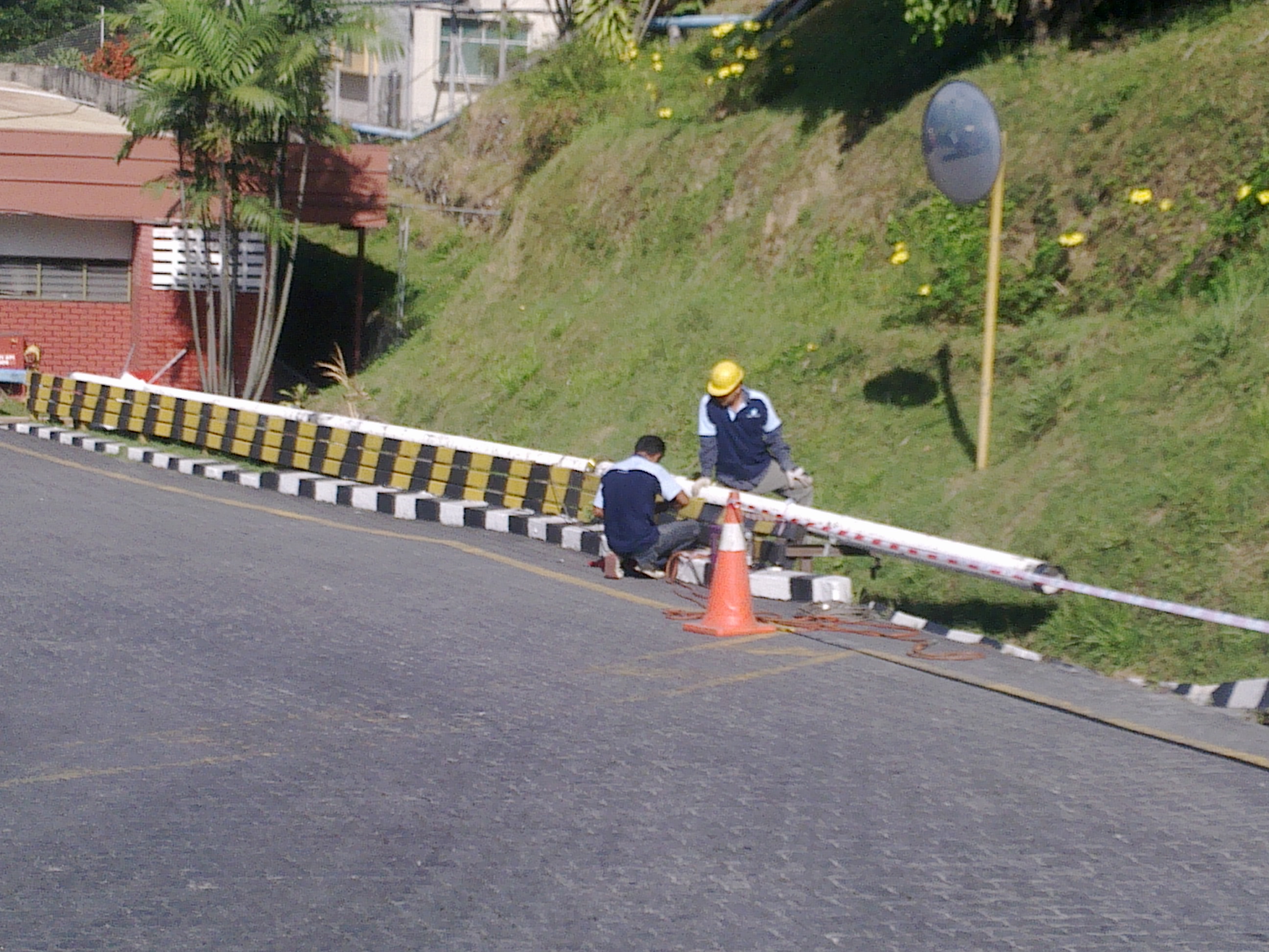 lorem ipsum dolor sit