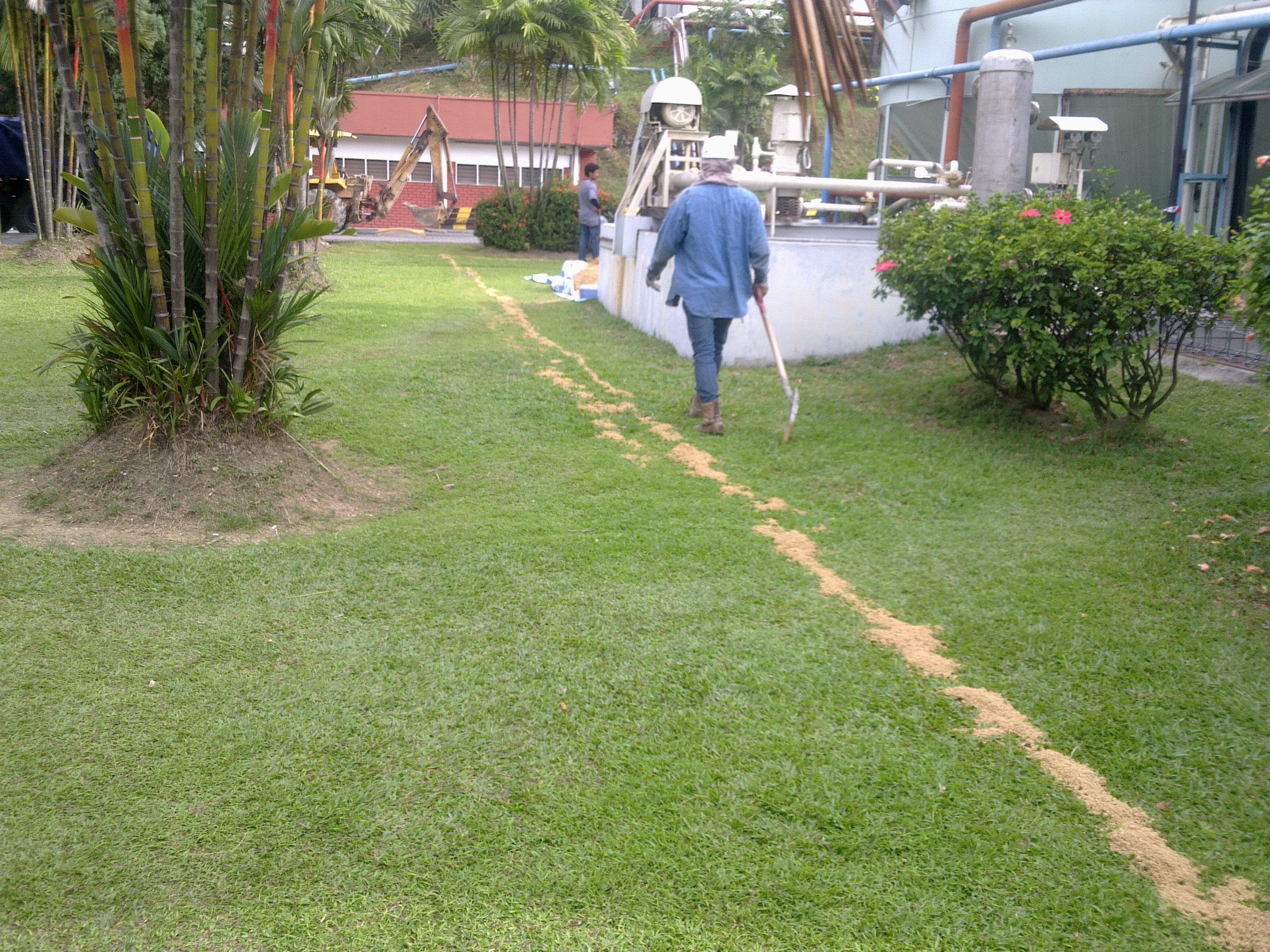 lorem ipsum dolor sit