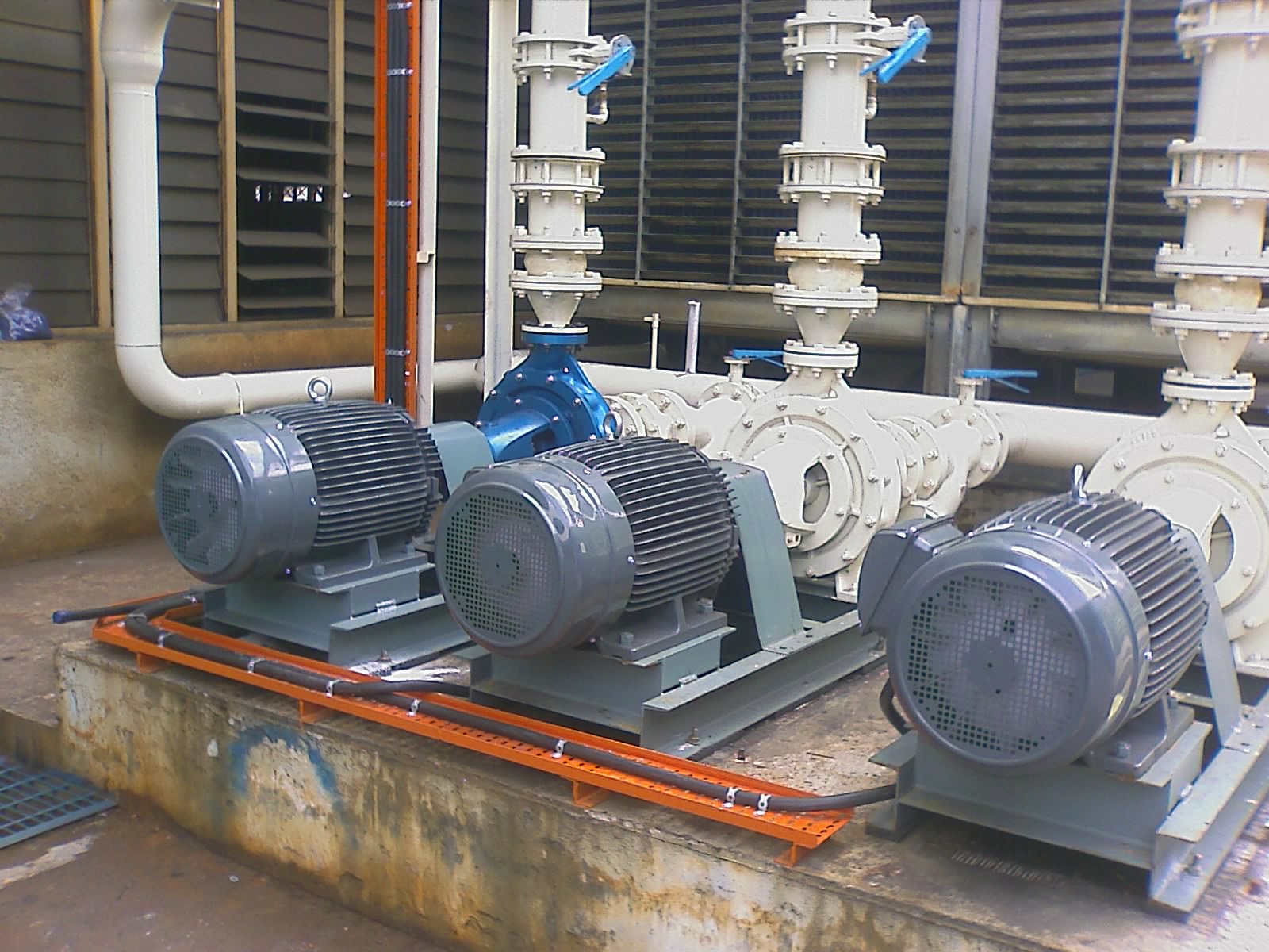 lorem ipsum dolor sit