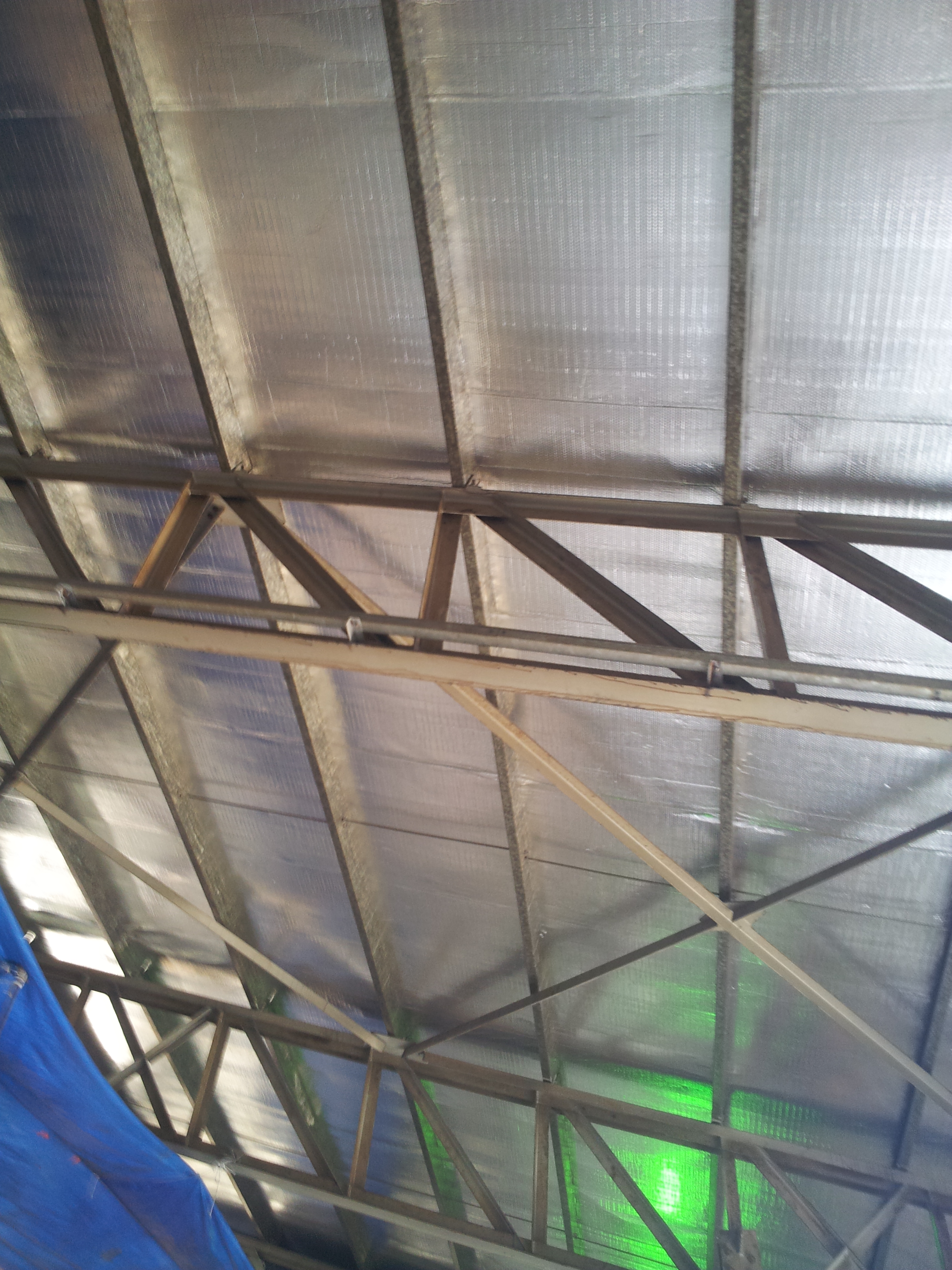 lorem ipsum dolor sit