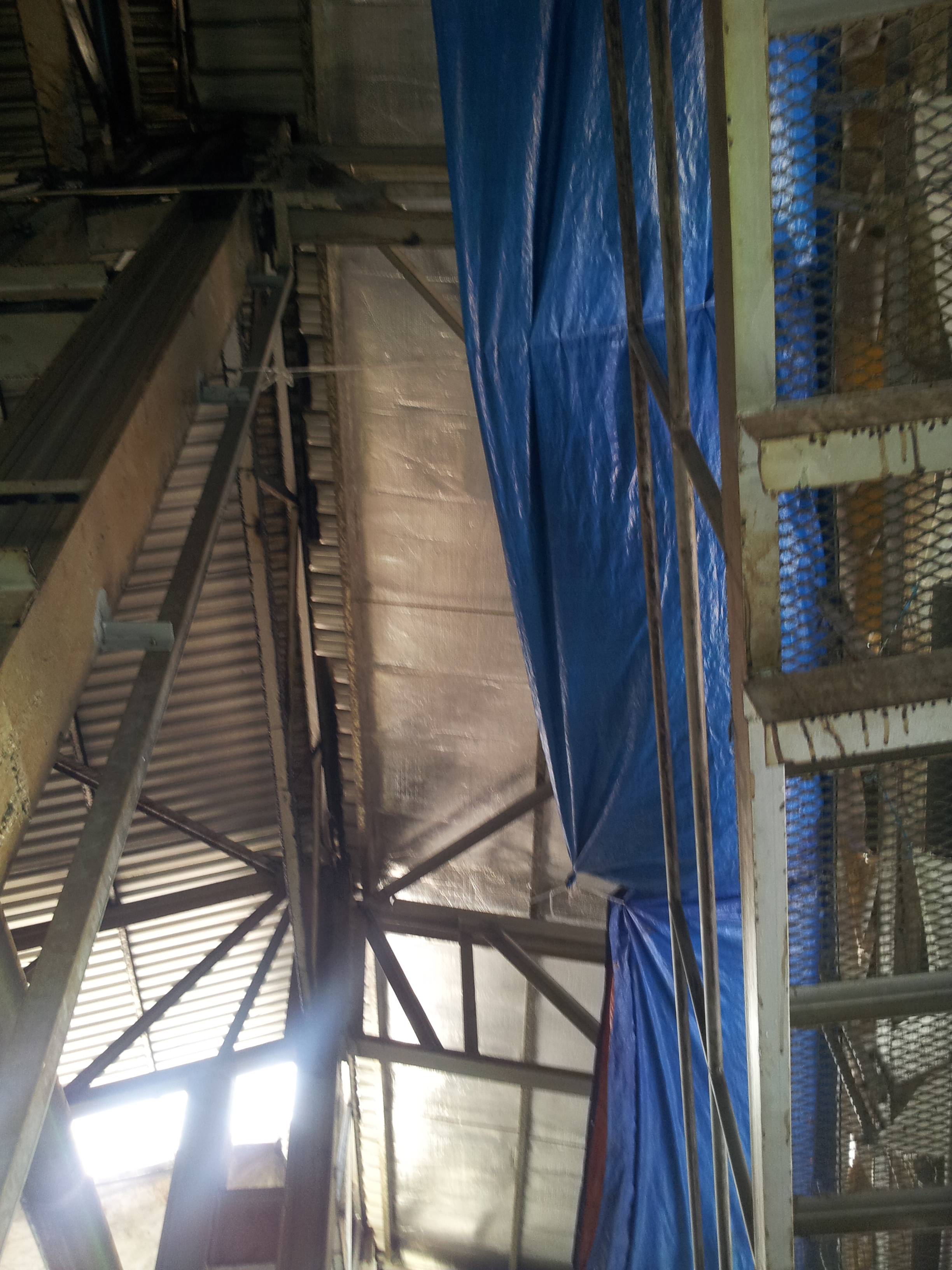 lorem ipsum dolor sit