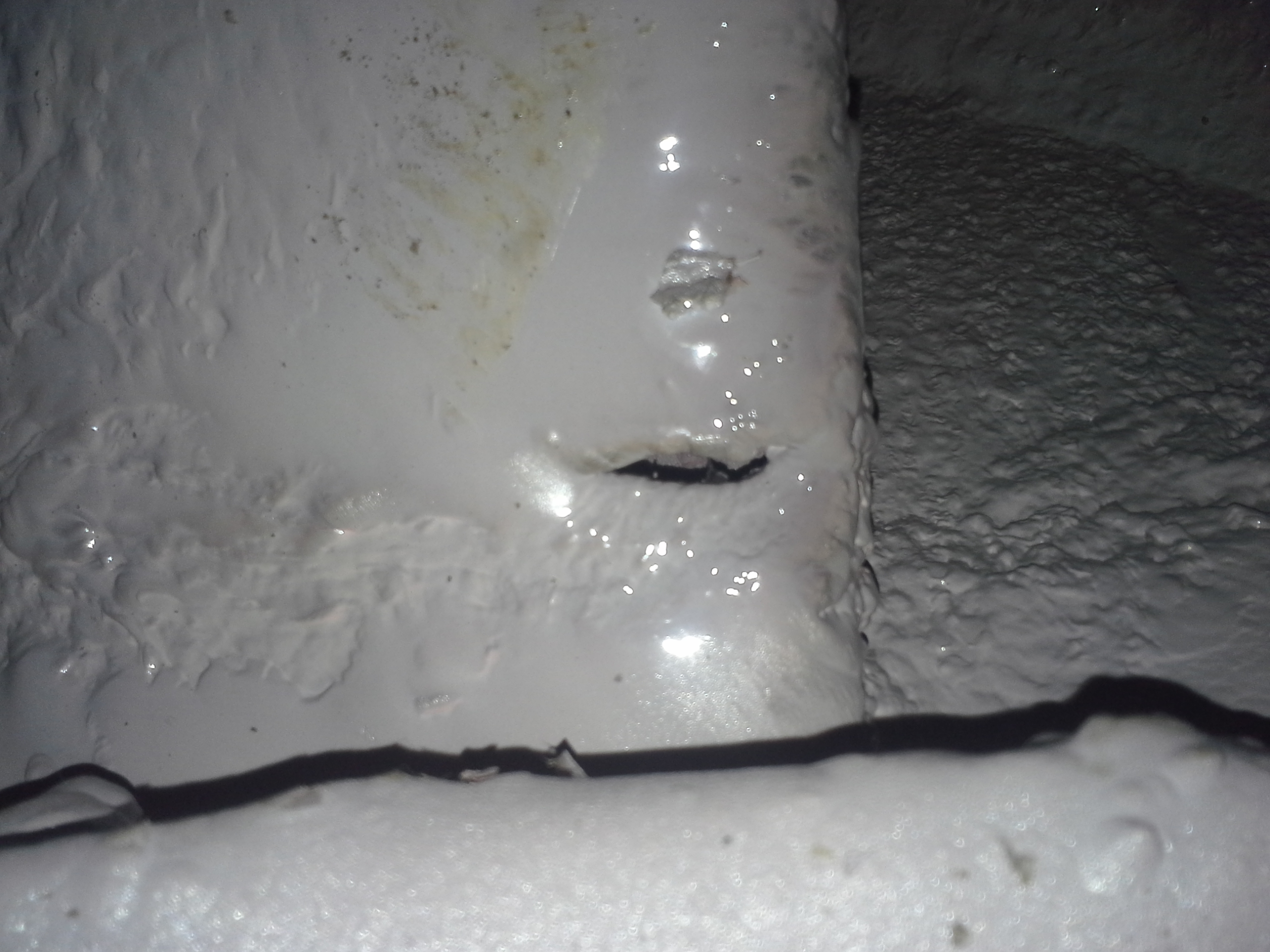 lorem ipsum dolor sit