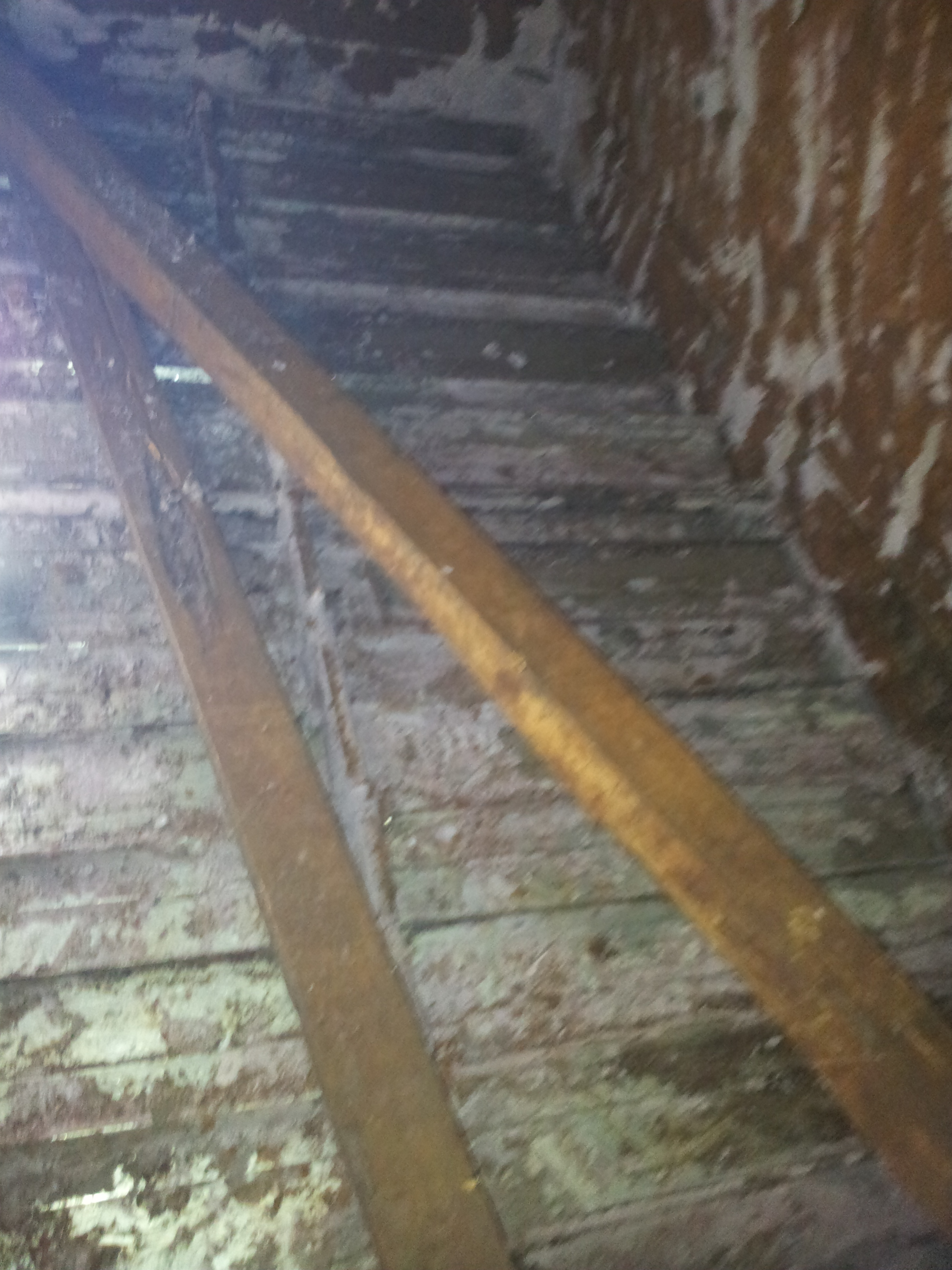 lorem ipsum dolor sit