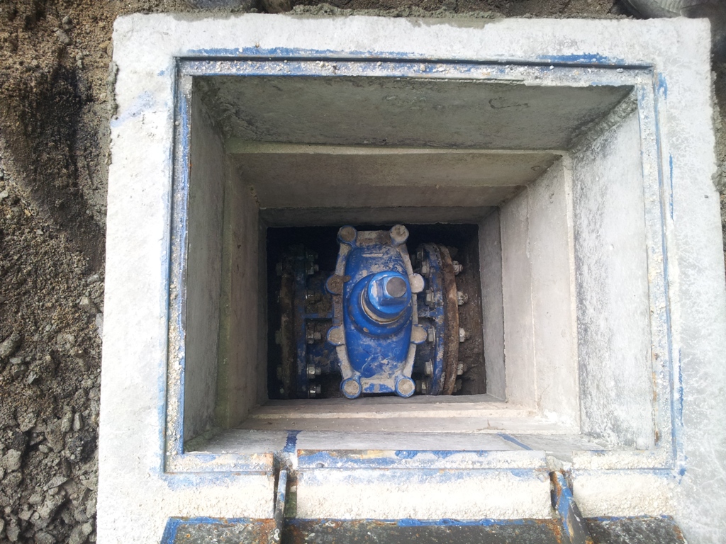 lorem ipsum dolor sit