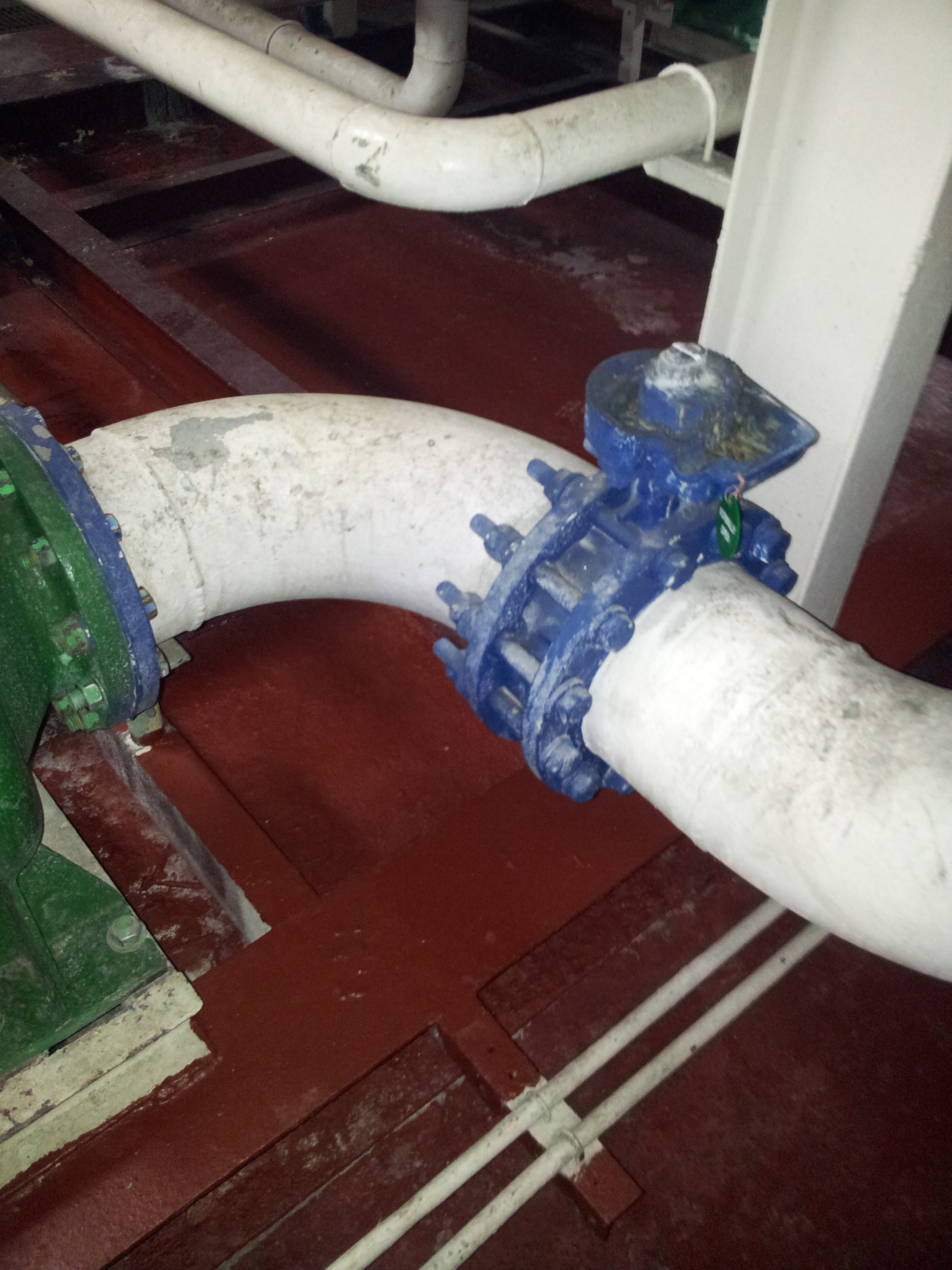 lorem ipsum dolor sit