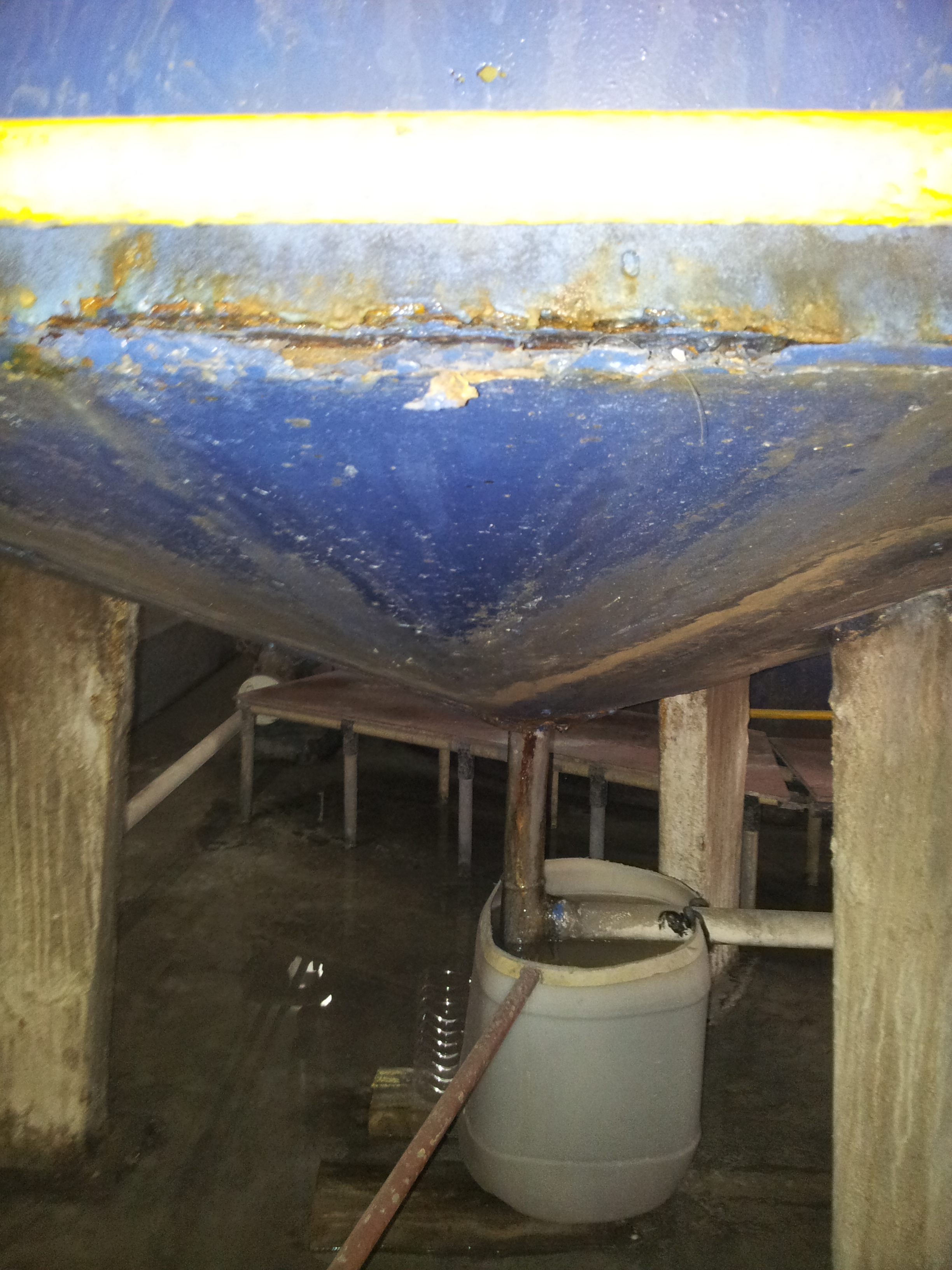 lorem ipsum dolor sit